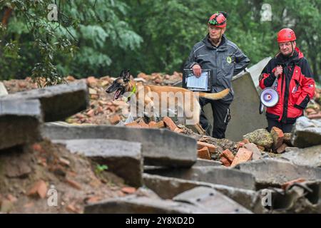 Breclav, Tschechische Republik. Oktober 2024. Zweitägige Meisterschaft der Rettungshunde der Vereinigung der Rettungsbrigaden der Cynologen der Tschechischen Republik in Breclav, 6. Oktober 2024. Quelle: Vaclav Salek/CTK Photo/Alamy Live News Stockfoto