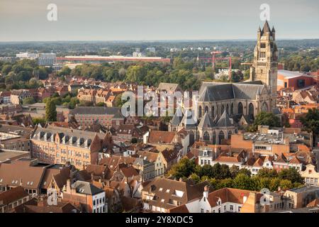 Belgien, Flandern, Brügge, Grote Markt, erhöhter Blick auf die St. Salvadors Kathedrale, Sint Salvatorskathedraal von Belfort Stockfoto