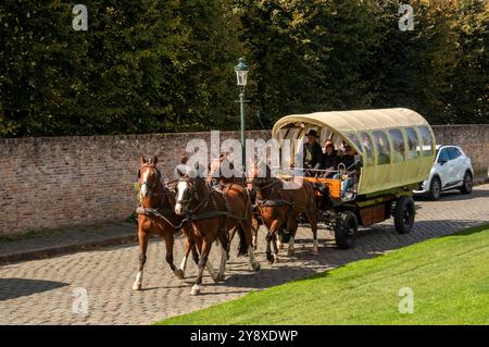 Belgien, Flandern, Brügge, Kazernevest, Pferdebus Stockfoto