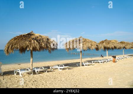 Viele Sonnenschirme aus Palmblättern am exotischen Strand varadero Kuba Stockfoto