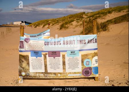 Dünen-Versuch an der Fylde-Küste, um vom Wind verwehten Sand in bestimmte Gebiete zu leiten, um Dünen zu bauen Stockfoto