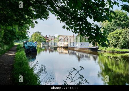 Boote, die im Sommer auf dem Lancaster Canal ankern Stockfoto