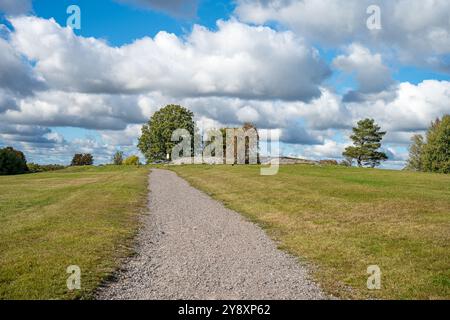 Landschaft am Himmelstalund im Herbst in Norrköping, Schweden. Die Gegend ist berühmt für ihre 1700 Steinschnitzereien aus der Bronzezeit. Stockfoto