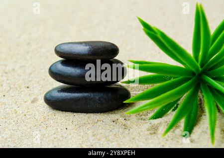 Schwarzer Zen-Stein mit pflanzlichem Hintergrund mit anpassbarem Platz für Text oder Ideen. Stockfoto