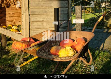 Stall mit lebhaften Kürbissen und Kürbissen in verschiedenen Formen und Texturen, auf Strohhalm angeordnet, die eine natürliche Herbsternte zeigen. Stockfoto