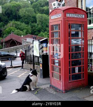 PET Border Collie Hund wartet auf Besitzer an der roten Telefonzelle in Ironbridge Stockfoto