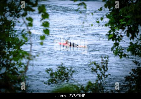 Fahren Sie auf den Strömungen und genießen Sie die Natur – ein Abenteuer auf dem Wasser, bei dem Ruhe auf den Nervenkitzel der Strömung trifft. 🌊 #SurfingLife #AdventureAwaits Stockfoto