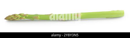 Frischer Spargel isoliert auf weißem Hintergrund mit voller Schärfentiefe Stockfoto