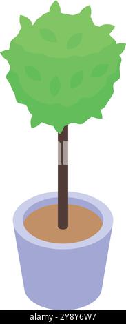 Kleiner dekorativer runder Baum, der in der isometrischen Ansicht des Topfes wächst, isoliert auf weißem Hintergrund Stock Vektor