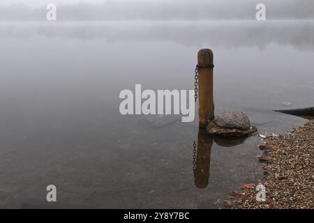 Schöner Herbst in der Nähe des Podebrady-Sees in der Nähe von Olomouc, Teil des Naturschutzgebiets Litovelske Pomoravi in Olomouc, Tschechische Republik, 7. Oktober 202 Stockfoto