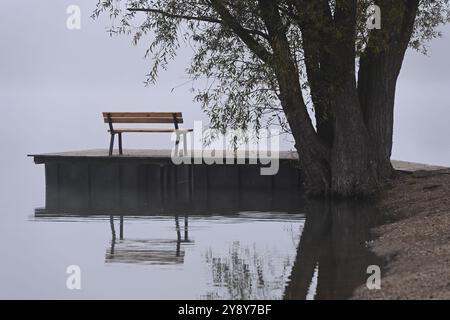 Schöner Herbst in der Nähe des Podebrady-Sees in der Nähe von Olomouc, Teil des Naturschutzgebiets Litovelske Pomoravi in Olomouc, Tschechische Republik, 7. Oktober 202 Stockfoto