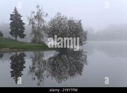 Schöner Herbst in der Nähe des Podebrady-Sees in der Nähe von Olomouc, Teil des Naturschutzgebiets Litovelske Pomoravi in Olomouc, Tschechische Republik, 7. Oktober 202 Stockfoto