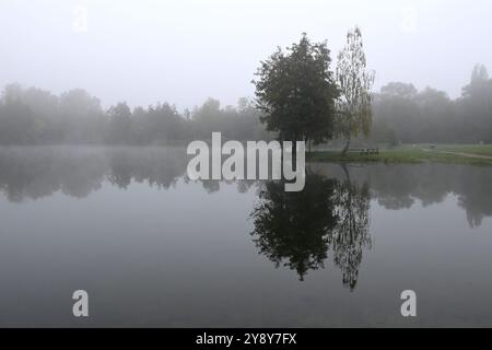 Schöner Herbst in der Nähe des Podebrady-Sees in der Nähe von Olomouc, Teil des Naturschutzgebiets Litovelske Pomoravi in Olomouc, Tschechische Republik, 7. Oktober 202 Stockfoto