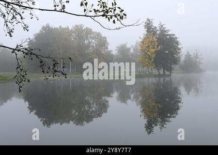 Schöner Herbst in der Nähe des Podebrady-Sees in der Nähe von Olomouc, Teil des Naturschutzgebiets Litovelske Pomoravi in Olomouc, Tschechische Republik, 7. Oktober 202 Stockfoto