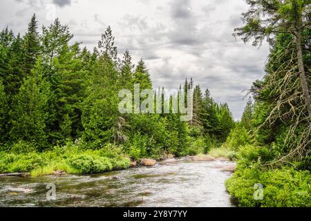 Mauricie National Park, Quebec, Kanada Stockfoto