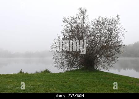 Schöner Herbst in der Nähe des Podebrady-Sees in der Nähe von Olomouc, Teil des Naturschutzgebiets Litovelske Pomoravi in Olomouc, Tschechische Republik, 7. Oktober 202 Stockfoto