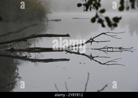 Schöner Herbst in der Nähe des Podebrady-Sees in der Nähe von Olomouc, Teil des Naturschutzgebiets Litovelske Pomoravi in Olomouc, Tschechische Republik, 7. Oktober 202 Stockfoto