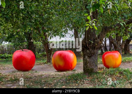 Große rote künstliche Äpfel auf einem Weg in einem Obstgarten. Installation. Zertrampeltes Gras und gelbliche Blätter auf dem Boden. Stockfoto