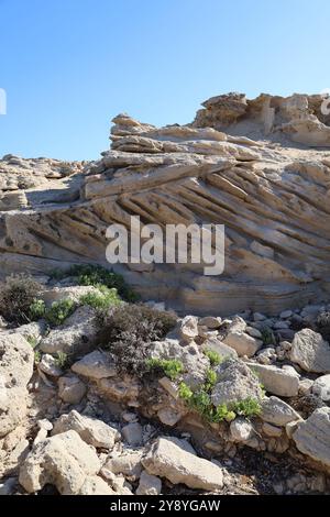 Ibiza. Spanien. Eivissa. Balearen. Spanien. Balearen. España. Sanasteis. Busch Stockfoto