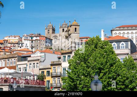 Malerischer Blick auf das Stadtzentrum von Portos und seine gotische Kathedrale, Portugal Stockfoto