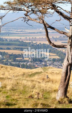 Newtyle Village und Angus ländliche Landschaft von Kinpurney Hill, Angus, Schottland Stockfoto