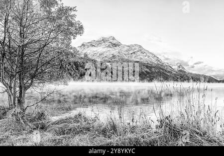 Schwarz-weiße Landschaft am Silser See, Engadine, Graubünden, Schweiz Stockfoto