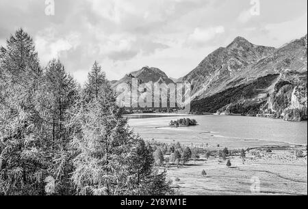 Schwarz-weiße Landschaft am Silser See, Engadine, Graubünden, Schweiz Stockfoto