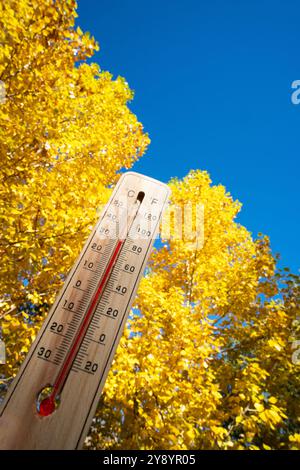 Thermometer mit hoher Temperatur vor gelben Herbstbäumen und blauem Himmel Stockfoto