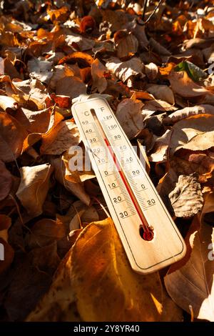 Ein auf dem Boden liegendes Thermometer zeigt hohe Temperaturen gegen herbstliche Blätter Stockfoto