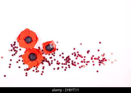 Rote Mohnblumen auf weißem Hintergrund. Gedenktag, Papiermohn als Symbol des Friedens. Plase für Text ist für Memorial Day. Stockfoto