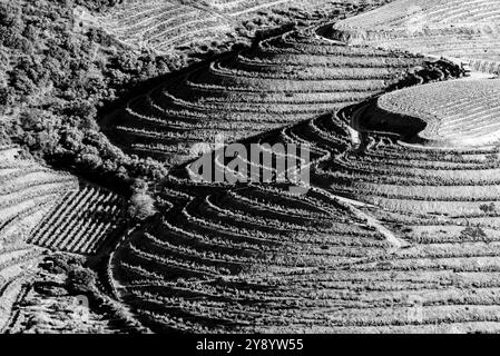 Aus der Vogelperspektive der Weinbauterrassen in der Nähe der Villa Nova de Foz CoA, Portugal Stockfoto