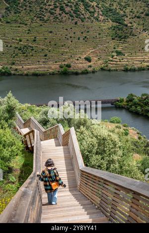 Eine junge Frau, die auf einem Holzsteg im Douro- und CoA-Tal auf den Spuren der berühmten steinzeitlichen CoA-Petroglyphen in Portugal spaziert Stockfoto