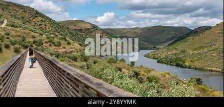 Eine junge Frau, die auf einem Holzsteg im Douro- und CoA-Tal auf den Spuren der berühmten steinzeitlichen CoA-Petroglyphen in Portugal spaziert Stockfoto