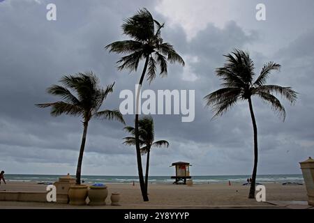 Hollywood Beach, FL, USA. 14-06-2017. Palmen werden an einem Strand in Florida während einer Storn-Warnung gesehen. Foto: Jose Bula Urrutia Stockfoto