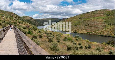 Eine junge Frau, die auf einem Holzsteg im Douro- und CoA-Tal auf den Spuren der berühmten steinzeitlichen CoA-Petroglyphen in Portugal spaziert Stockfoto