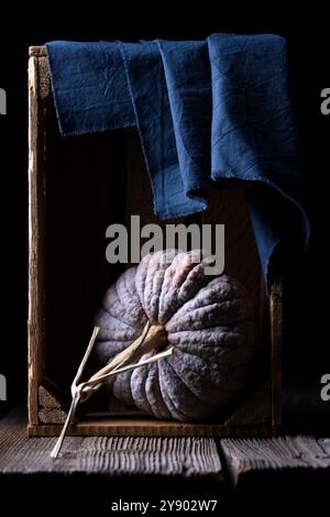 Erbstück japanischer Kürbis Schwarzer Futsu Kürbis auf Holzkiste mit blauer Serviette Nahaufnahme Stockfoto