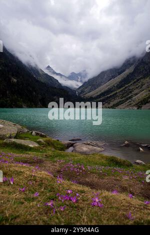 Lac de Gaube Stockfoto