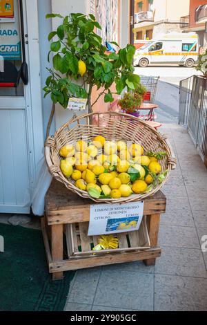 Korb mit Zitronen in einem Geschäft in der italienischen Küstenstadt Monterosso al Mare, Teil von Cinque Terre, Italien Stockfoto