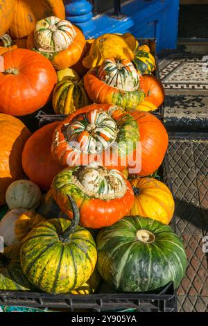 Turban Squash oder Turk’s Turban Squash zum Verkauf vor einem Gemüsegeschäft in Norfolk. Stockfoto