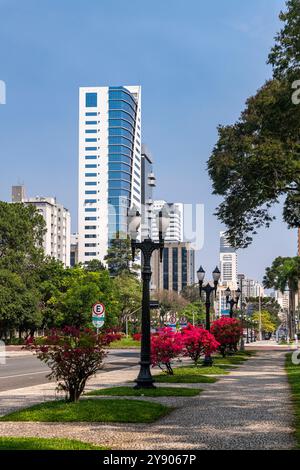 Curitiba, Paraná, Brasilien am 22. September 2024. Candido de Abreu Avenue, mit dekorativen Blumen auf der Straße und Gebäuden im Hintergrund. Stockfoto