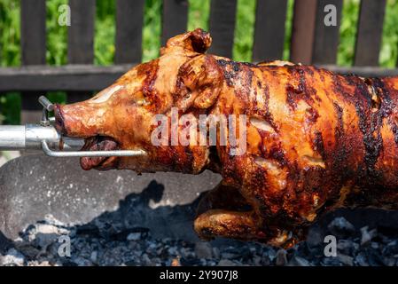 Ganze Schweinebraten am offenen Feuer auf dem Grill, traditionelle Balkangerichte. Stockfoto