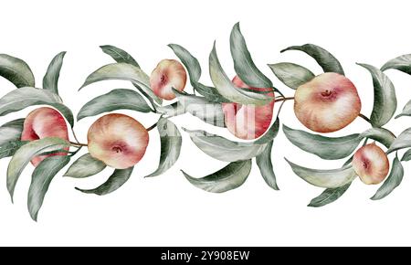 Nahtlose Frucht Border Aquarell Aprikose mit grünen Blättern Stockfoto