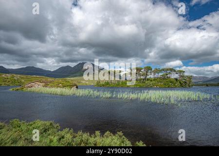 Atemberaubende Pine Island am Derryclare Lough, Connemara, County Galway, Irland mit Twelve Bens Mountain Range im Hintergrund Stockfoto