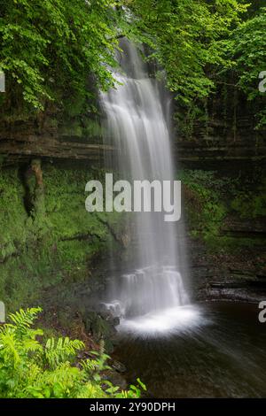 Wasserkaskaden am Glencar Waterfall, County Sligo, Irland – Ein malerischer Wasserfall, der über Mossy Rocks und üppiges Laub fließt Stockfoto