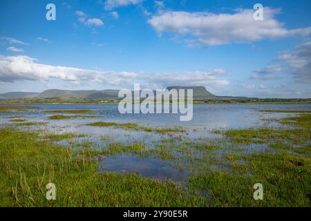 Malerischer Blick auf Ben Bulben vom Streedagh Beach mit üppigen Sumpfgebieten, Sligo, Irland Stockfoto