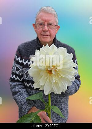 Dahlia, Giant Decorative, White Alva's Stockfoto