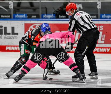 Augsburg, Deutschland. Oktober 2024. Linesperson Jonas Reinold fuehrt ein Bully aus zwischen Mark Zengerle (Augsburger Panther, #89) und Phil Varone (Grizzlys Wolfsburg, #26). Deutschland, Augsburger Panther gegen Grizzlys Wolfsburg, Eishockey, DEL, 7. Spieltag, Saison 2024/2025, 06.10.2024. Foto: Eibner-Pressefoto/Heike feiner Credit: dpa/Alamy Live News Stockfoto