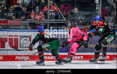 Augsburg, Deutschland. Oktober 2024. Kampf um den Puck von Riley McCourt (Augsburger Panther, #72) und Denis Reul (Augsburger Panther, #29) mit Darren Archibald (Grizzlys Wolfsburg, #25). Deutschland, Augsburger Panther gegen Grizzlys Wolfsburg, Eishockey, DEL, 7. Spieltag, Saison 2024/2025, 06.10.2024. Foto: Eibner-Pressefoto/Heike feiner Credit: dpa/Alamy Live News Stockfoto