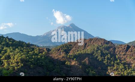 Der Gipfel des Tahtali Olympos vom Lykischen Weg aus in Cirali, Antalya, Türkei. Die malerische Landschaft bietet üppige Wälder, blauen Himmel und rugg Stockfoto