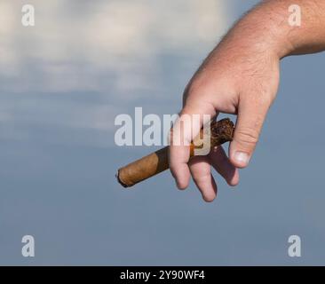 Nahaufnahme der Hand eines Mannes, der eine teilweise geräucherte Zigarre hält. Platz für zusätzliche Kopie. Stockfoto